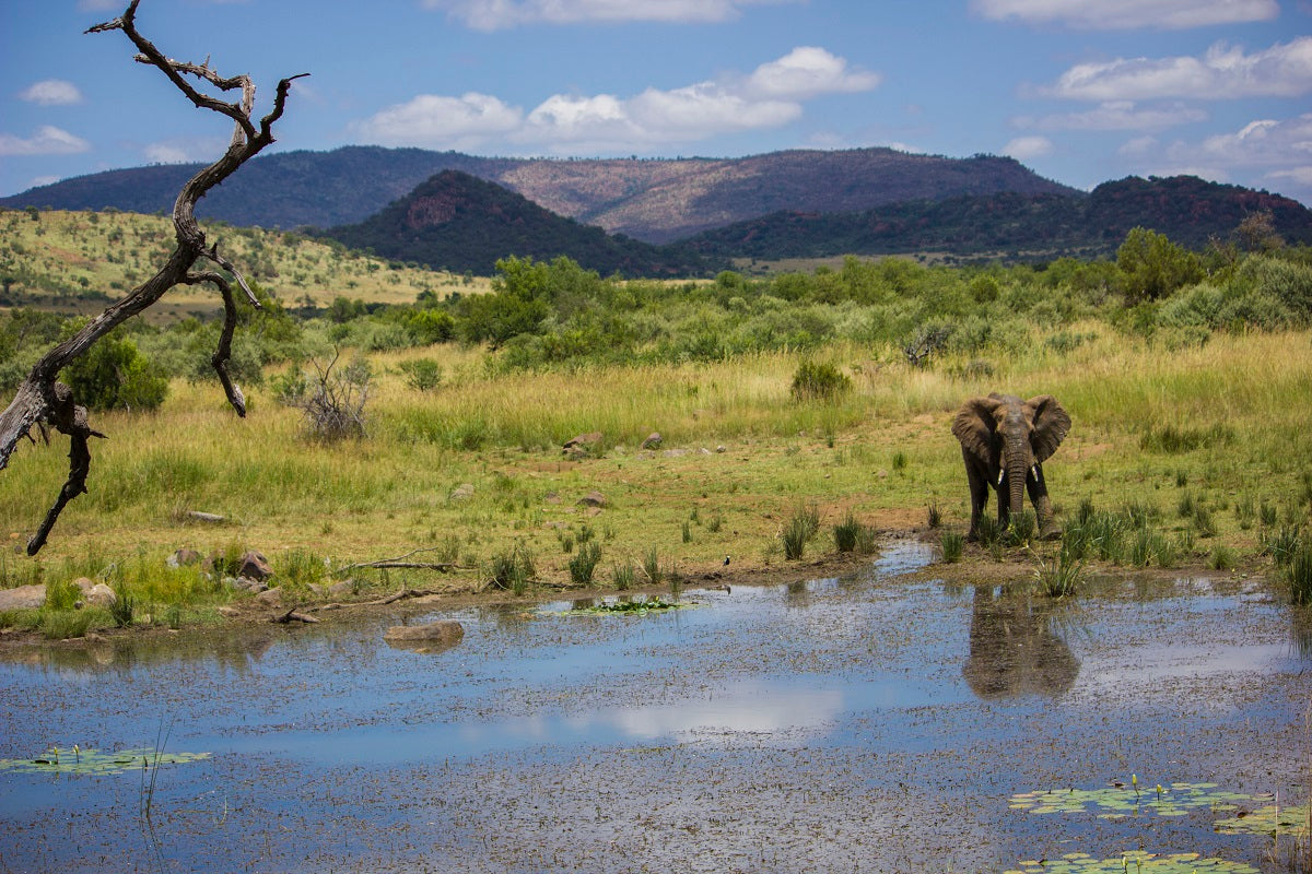 Pilanesburg National Park