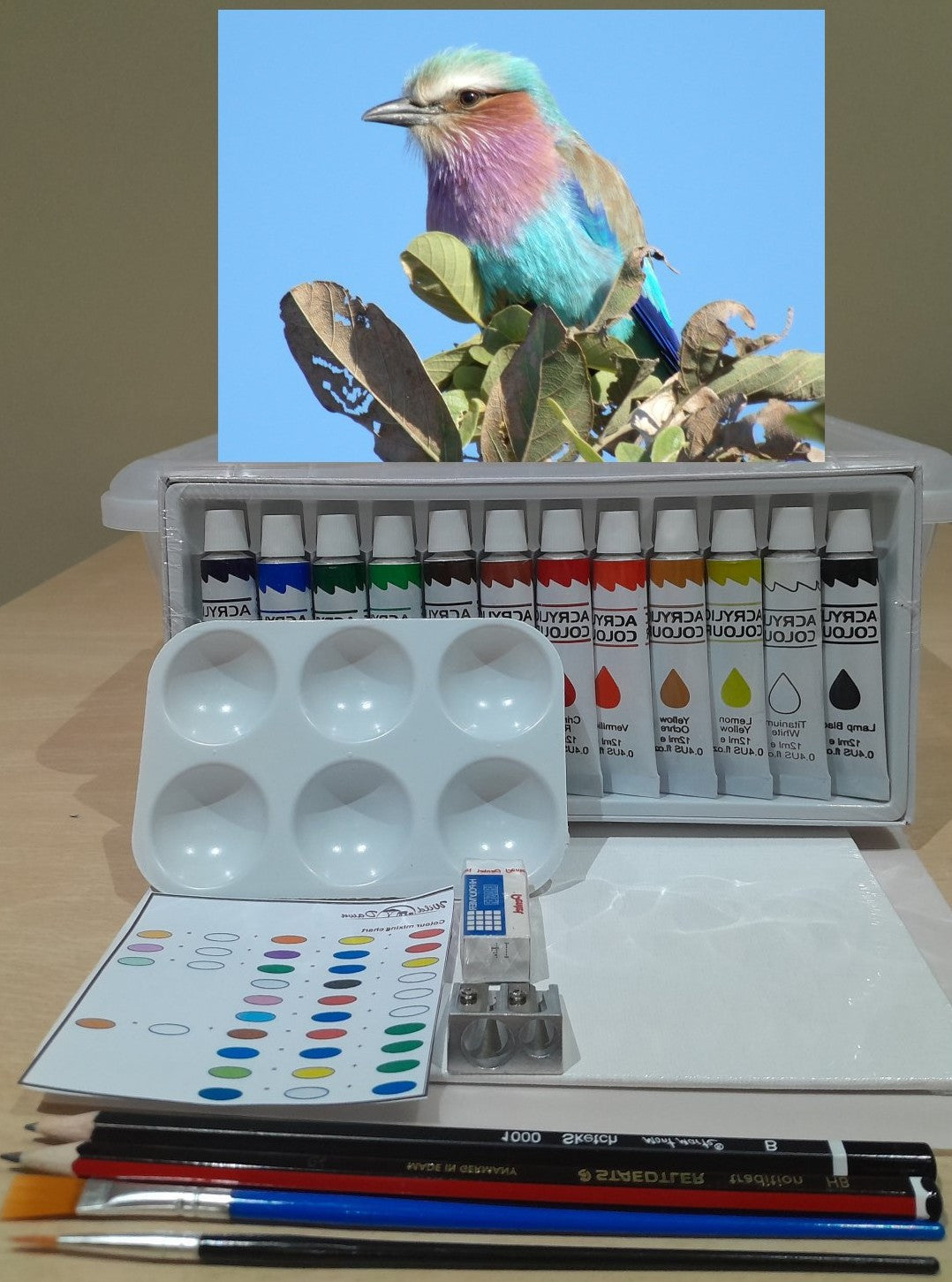 Paint on Canvas Kits