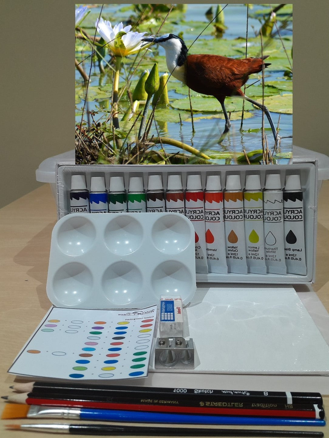 Paint on Canvas Kits