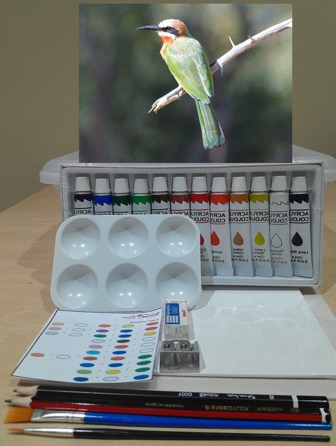 Paint on Canvas Kits