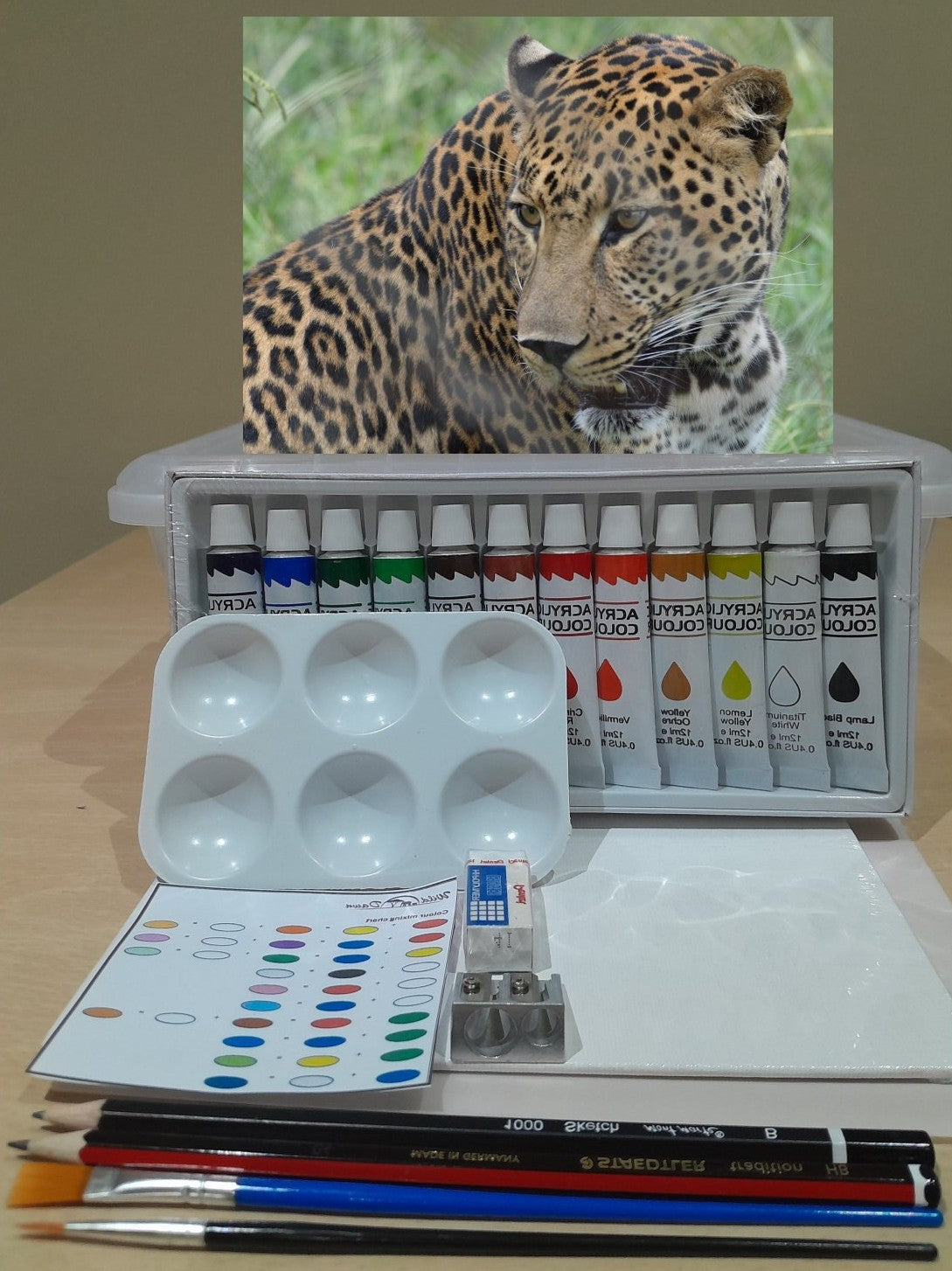 Paint on Canvas Kits