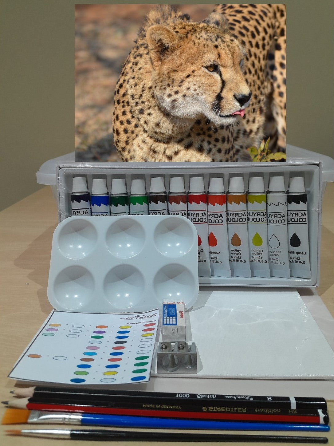 Paint on Canvas Kits