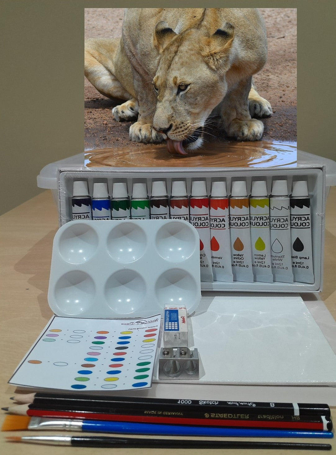 Paint on Canvas Kits