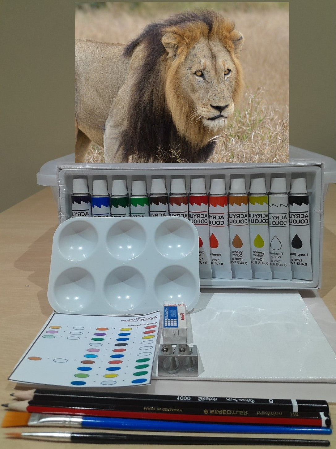 Paint on Canvas Kits