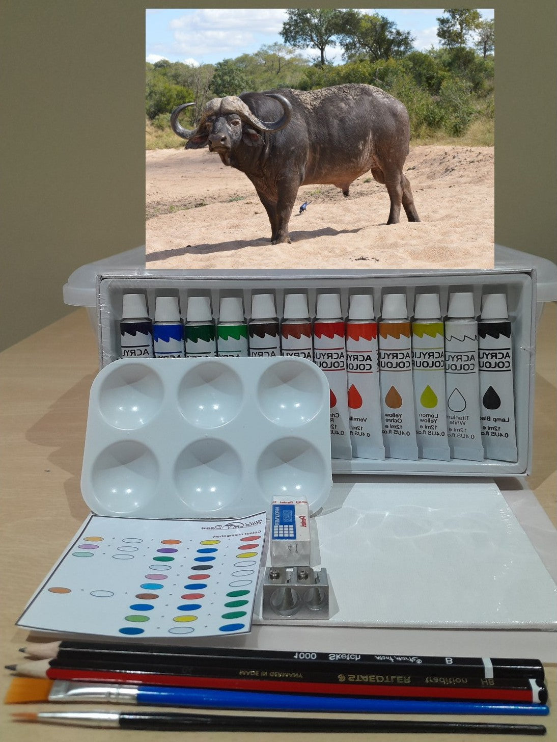 Paint on Canvas Kits