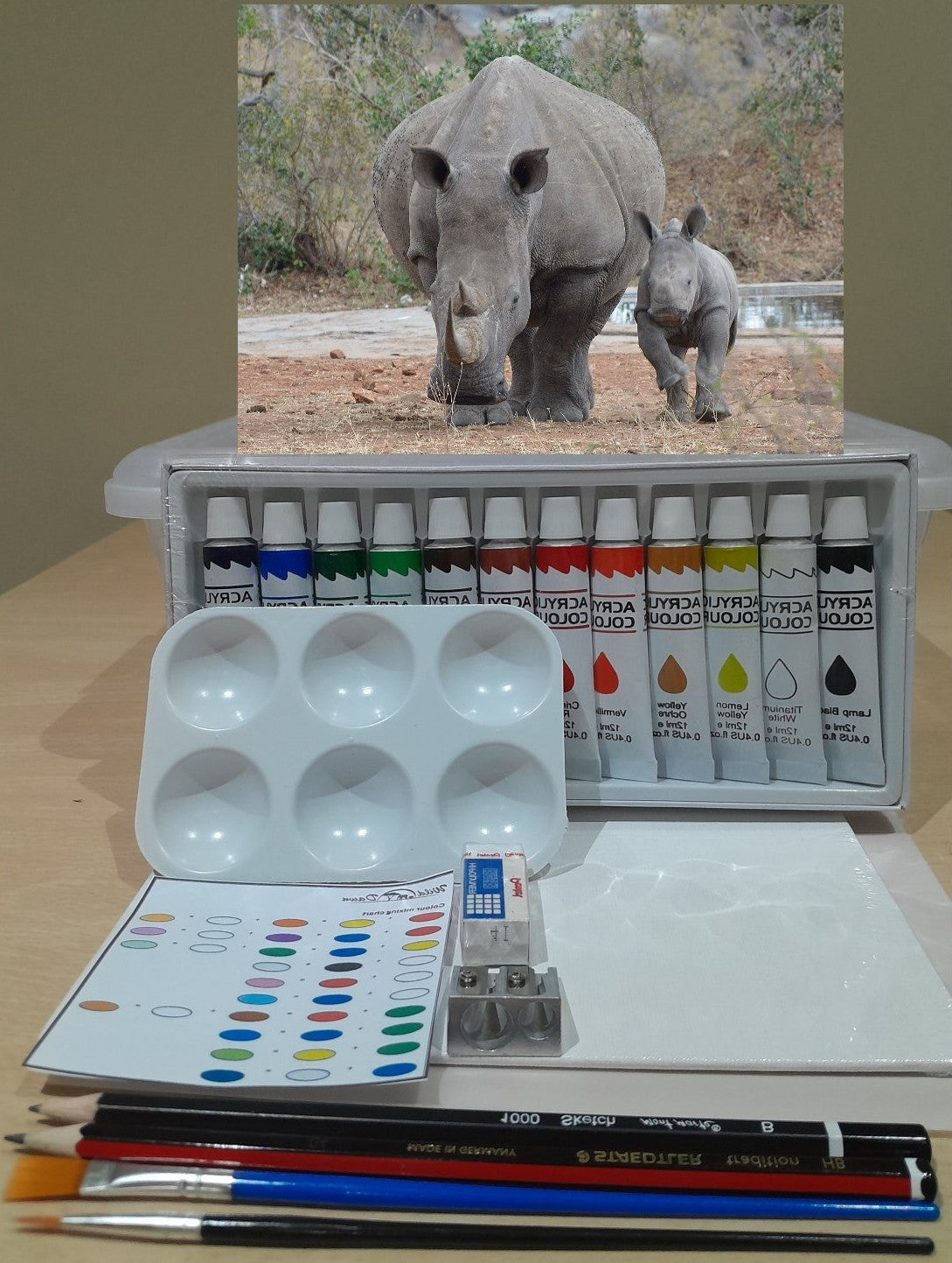 Paint on Canvas Kits