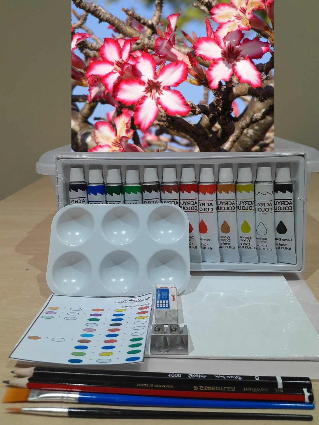 Paint on Canvas Kits