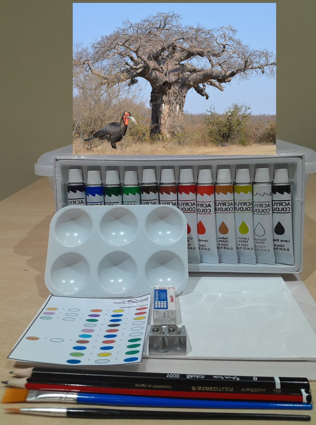Paint on Canvas Kits