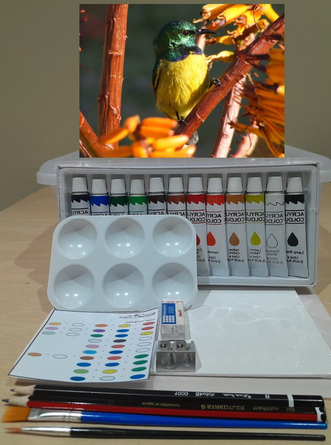Paint on Canvas Kits