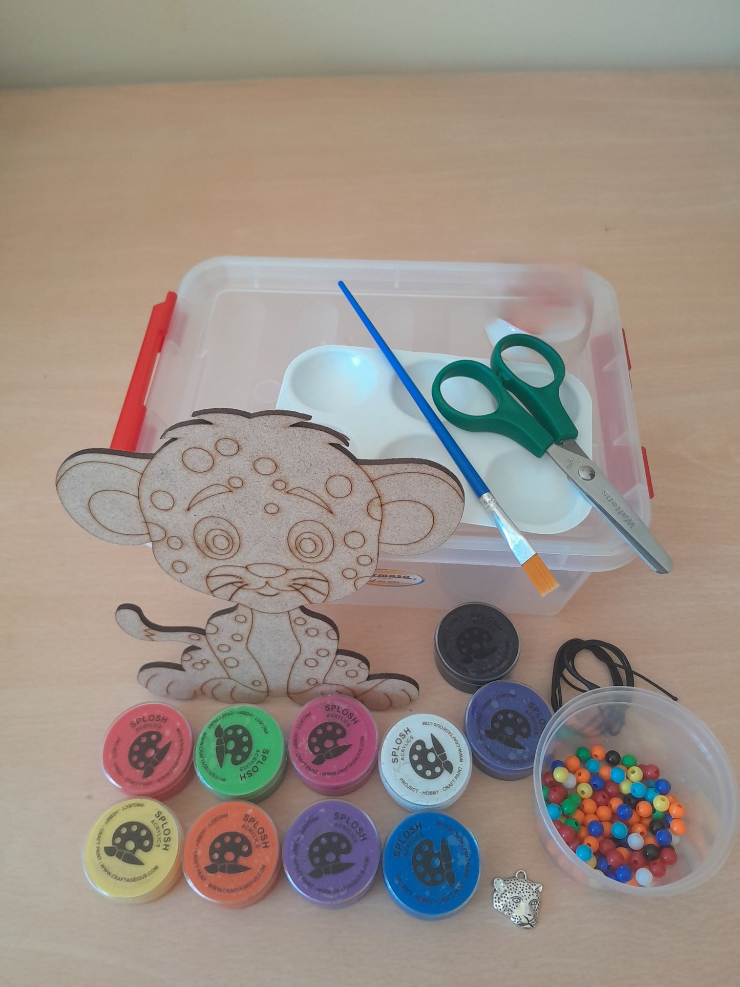 Paint on Wood Kits