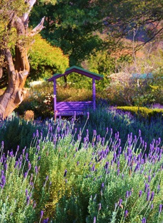 Van Gaalen Cheese Farm & Margaret Roberts Herb Garden