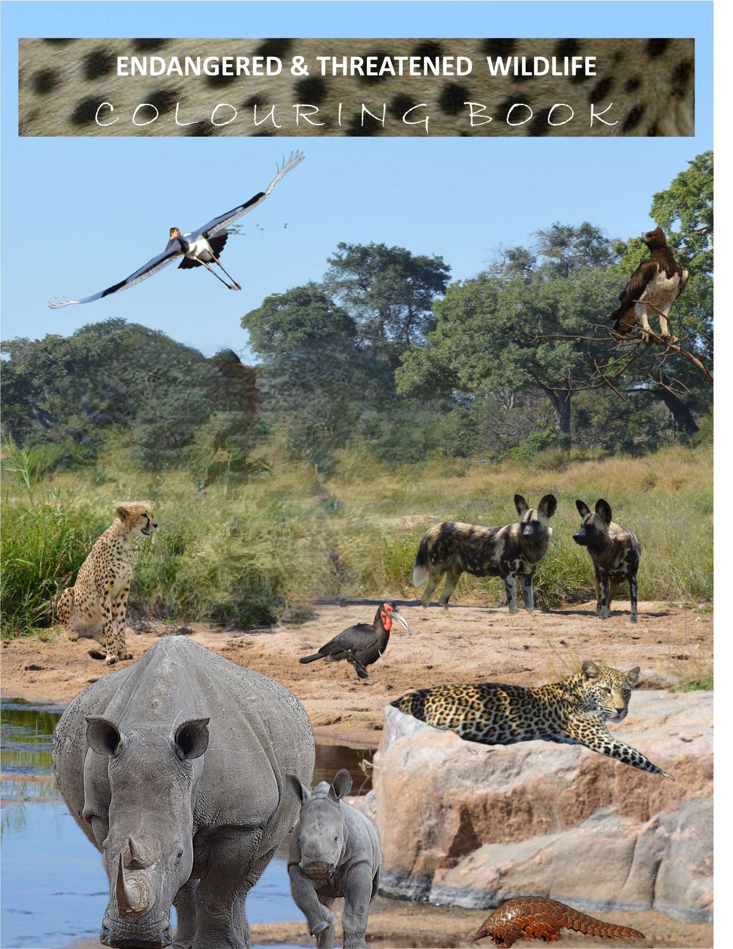 A4 Wild Dawn Colouring Book Digital Version