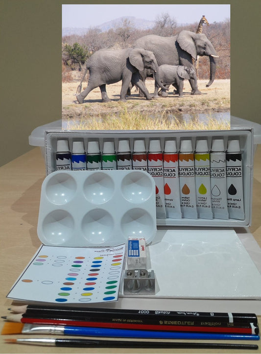 Paint on Canvas Kits