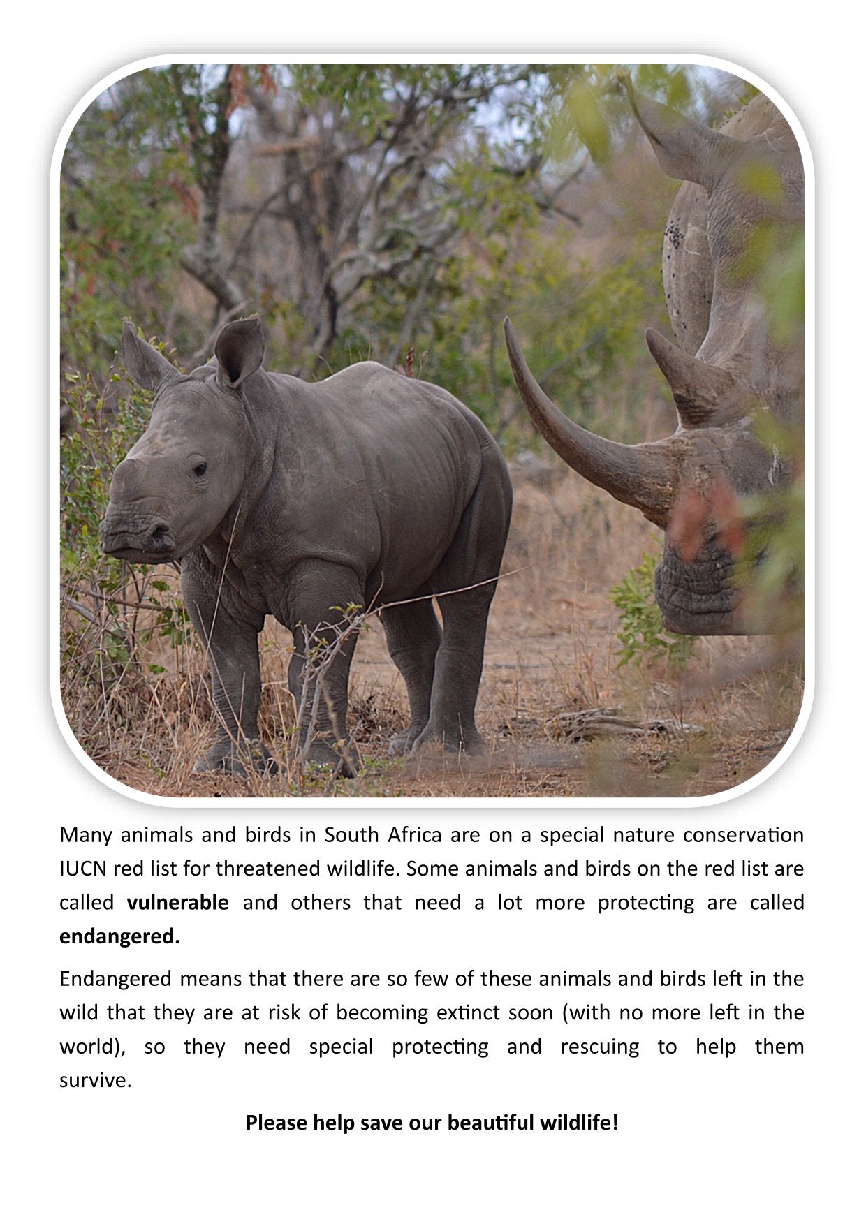 A4 Wild Dawn Colouring Book