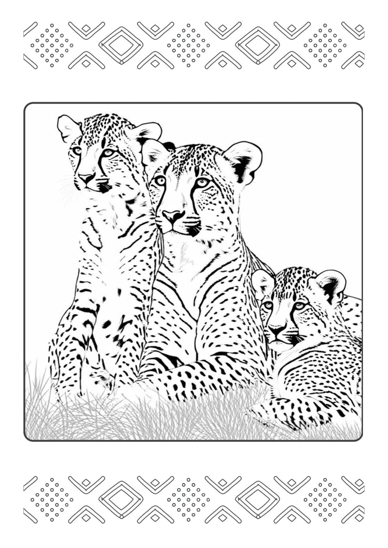 A4 Wild Dawn Colouring Book