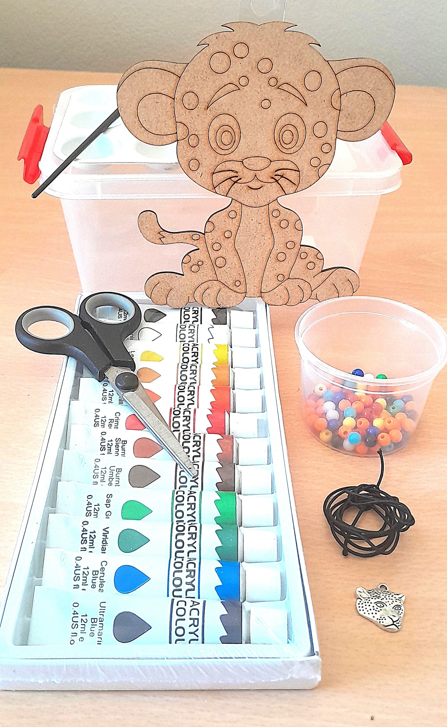 Paint on Wood Kits